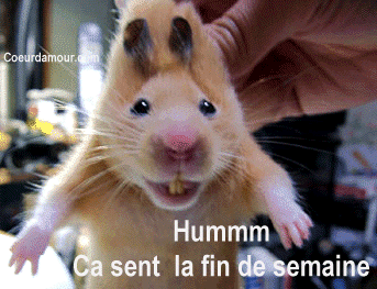 aff96934.gif